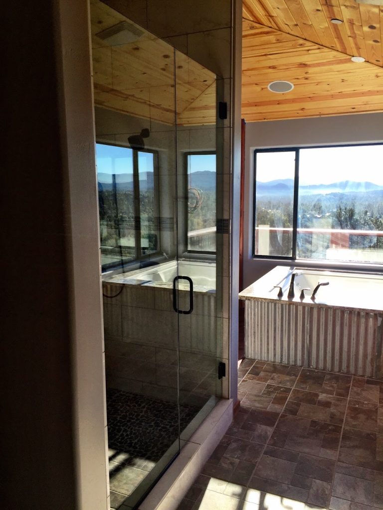 Door & Panel Frameless Shower Glass