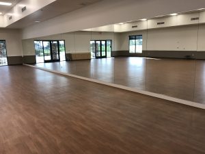 Gym Wall Mirrors, Full Wall, Drillouts, Mirror Plates(2) Custom Mirror